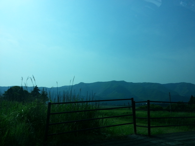 c0071545_1665570.jpg