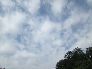 a0054948_8521392.jpg