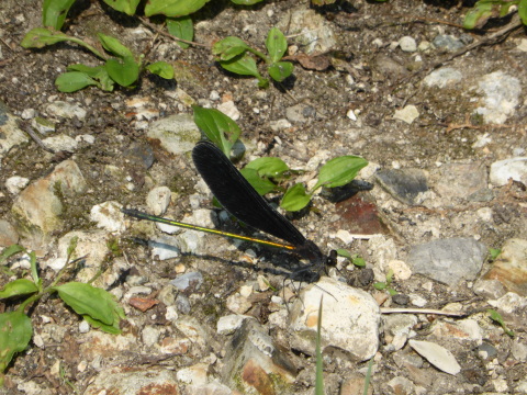 b0238249_15181414.jpg