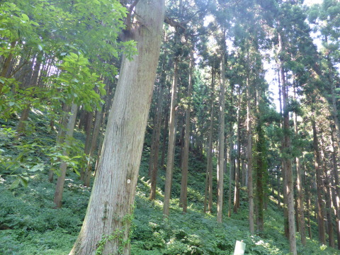 b0238249_15252830.jpg