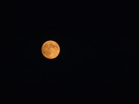 b0238249_15340355.jpg