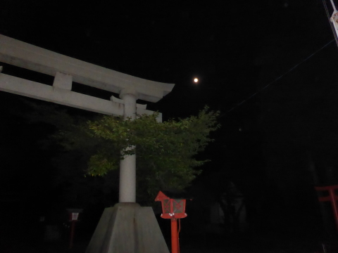b0238249_15350405.jpg