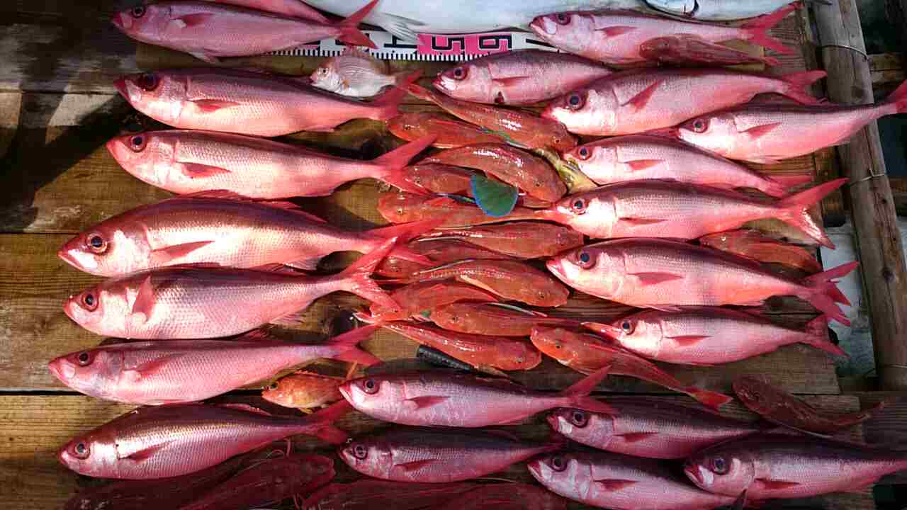 a0248152_1725225.jpg