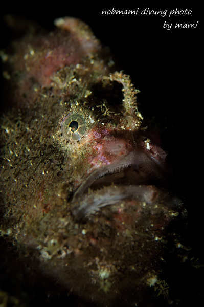 d0237353_229215.jpg