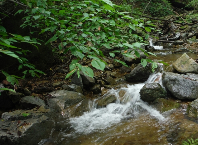 b0304662_00101911.jpg