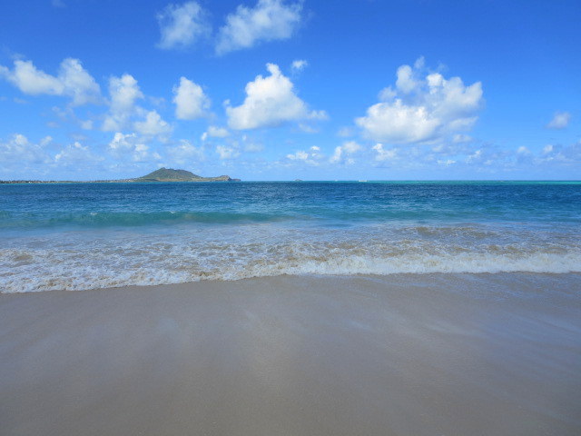 d0264176_19223527.jpg