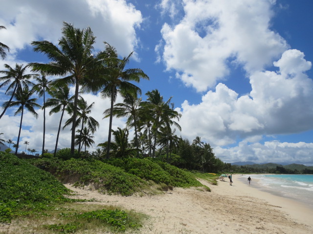 d0264176_19225715.jpg