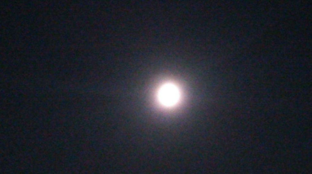 e0199691_1421072.jpg