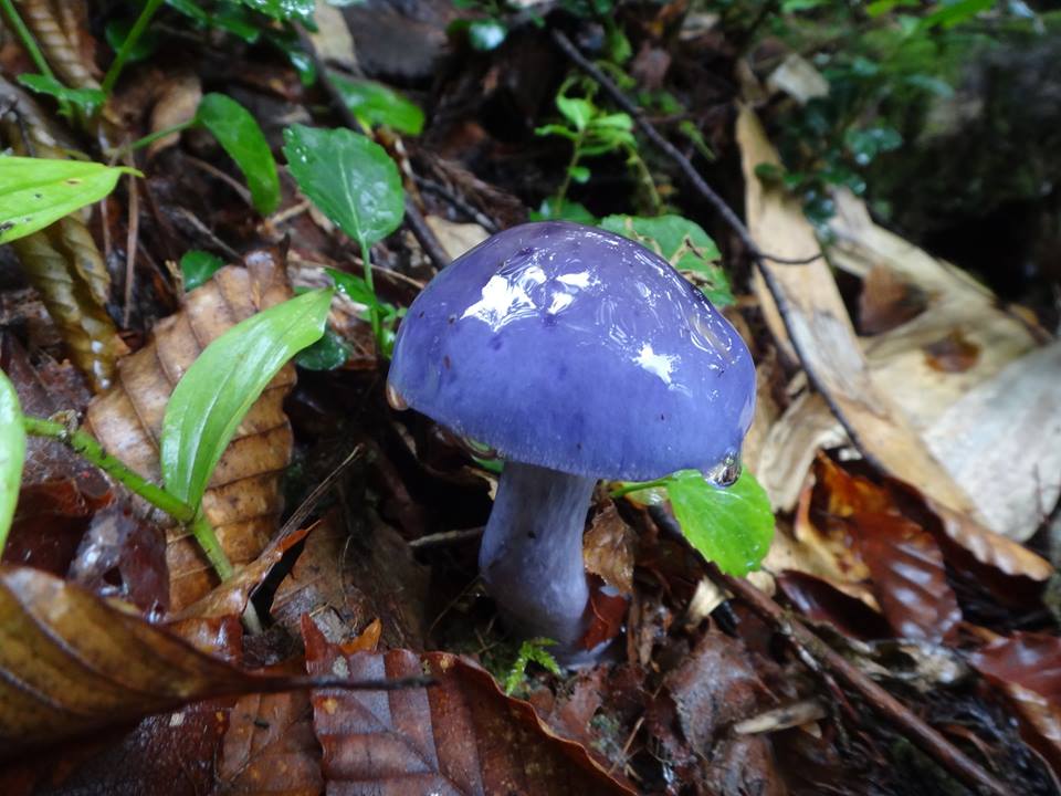 f0125091_22552181.jpg