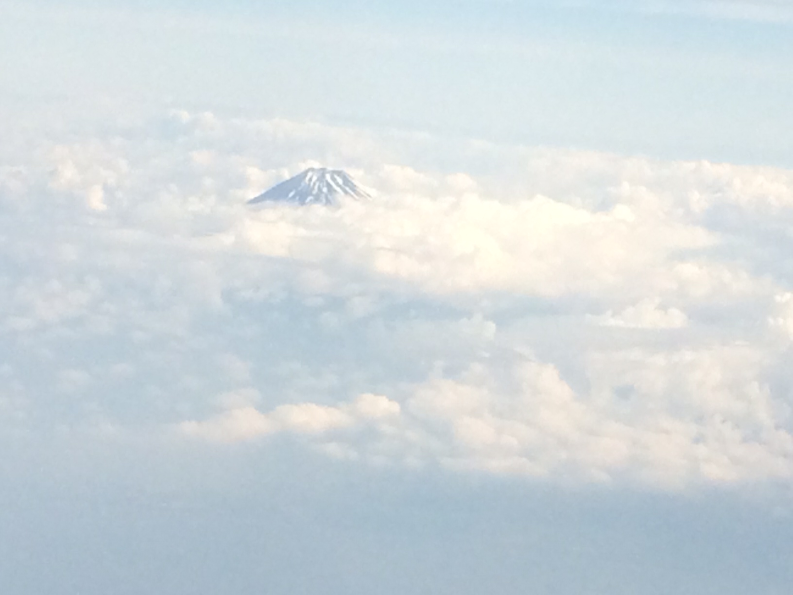 a0188897_2094234.jpg
