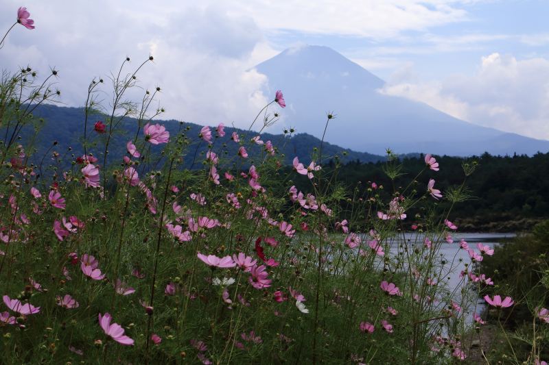 a0188405_09505752.jpg