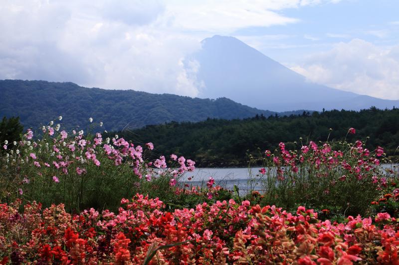 a0188405_09512181.jpg