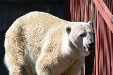 f0344626_00393550.jpg