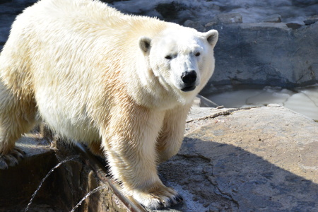 f0344626_00434087.jpg