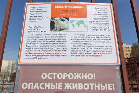 f0344626_00444039.jpg