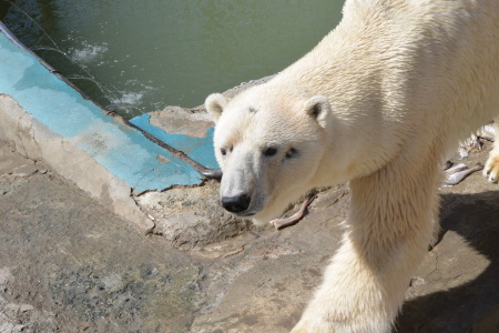 f0344626_00471346.jpg