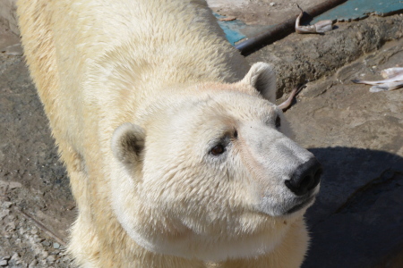 f0344626_00471824.jpg