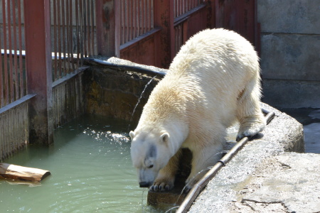 f0344626_00485586.jpg