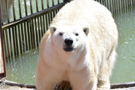 f0344626_00514893.jpg