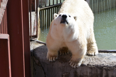 f0344626_00515453.jpg