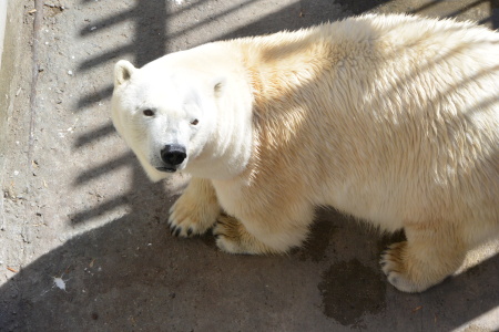 f0344626_00522023.jpg