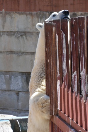 f0344626_00524754.jpg