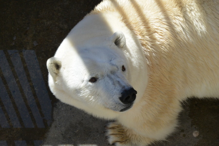 f0344626_00575024.jpg
