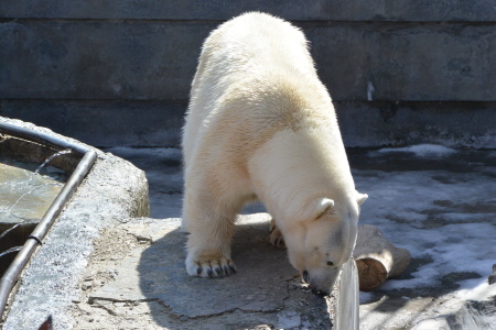 f0344626_00580443.jpg