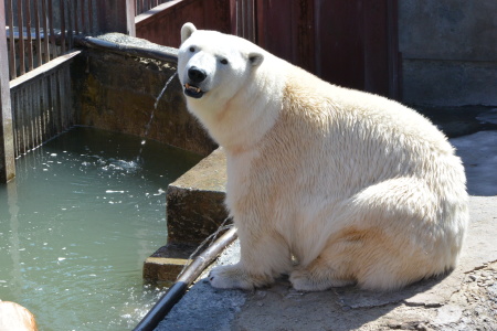 f0344626_01004203.jpg