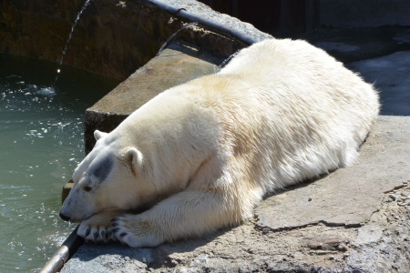 f0344626_01011913.jpg