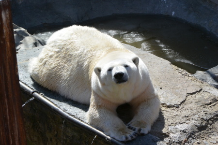 f0344626_01012901.jpg