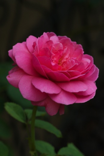 e0021328_004577.jpg