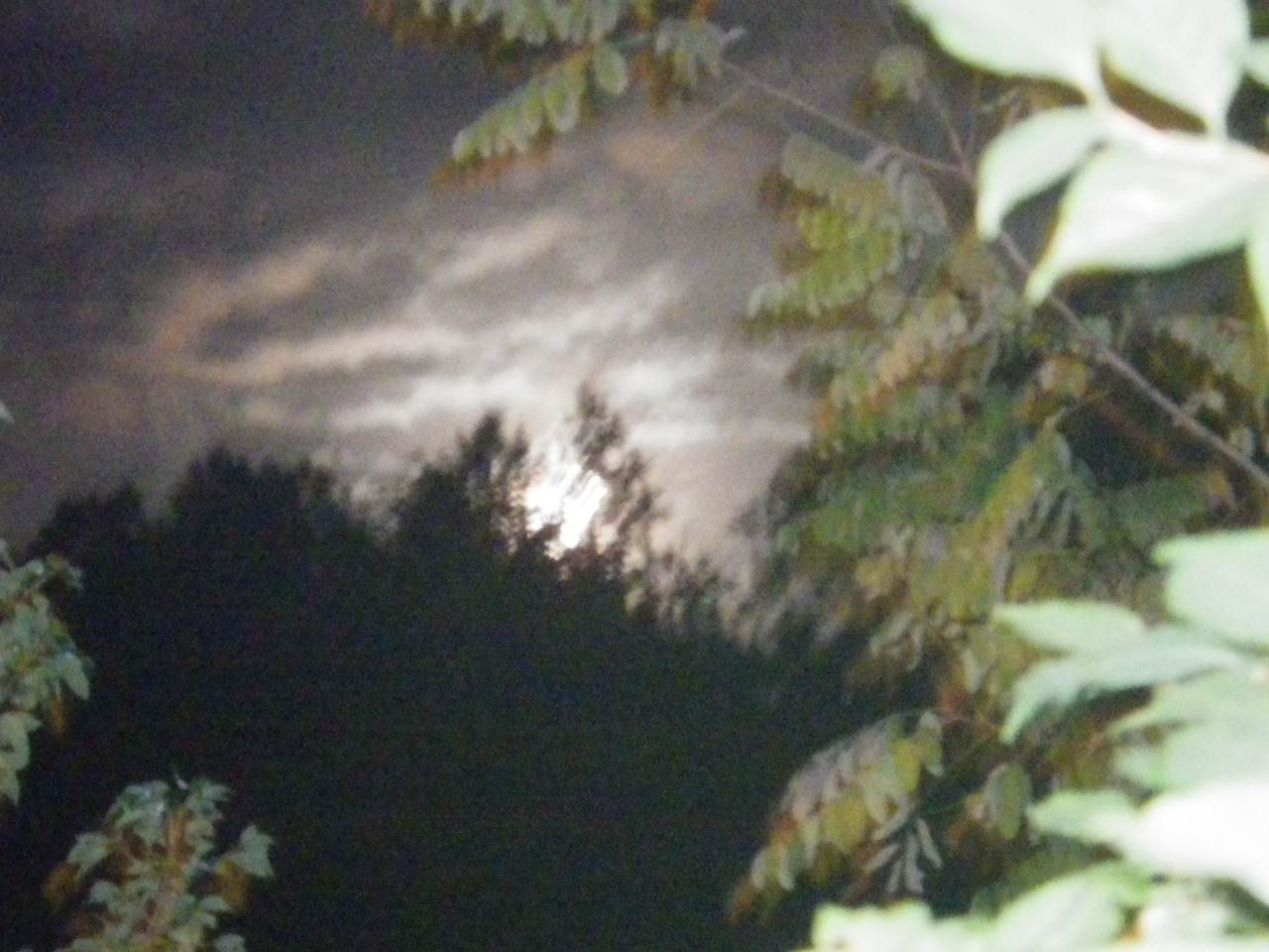 c0300035_11142874.jpg