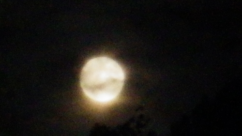 c0300035_11162567.jpg