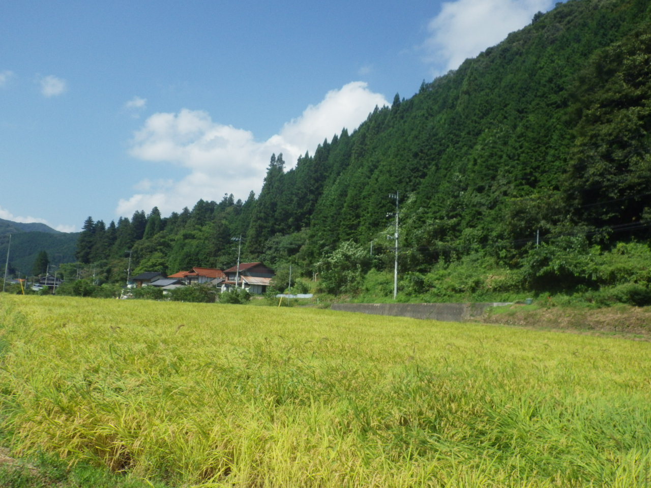 c0300035_1174489.jpg