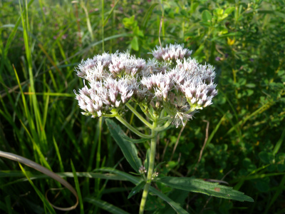e0272335_19201110.jpg