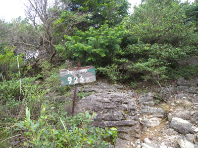 e0272335_19571989.jpg
