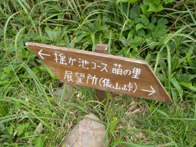 e0272335_2026467.jpg