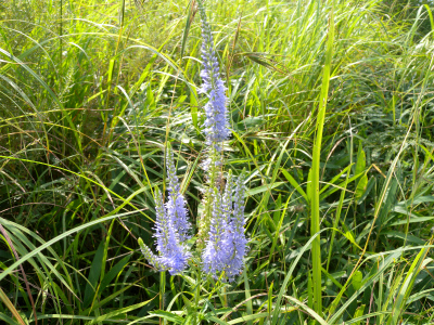 e0272335_20385841.jpg