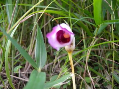 e0272335_20421572.jpg