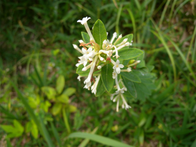 e0272335_2154660.jpg