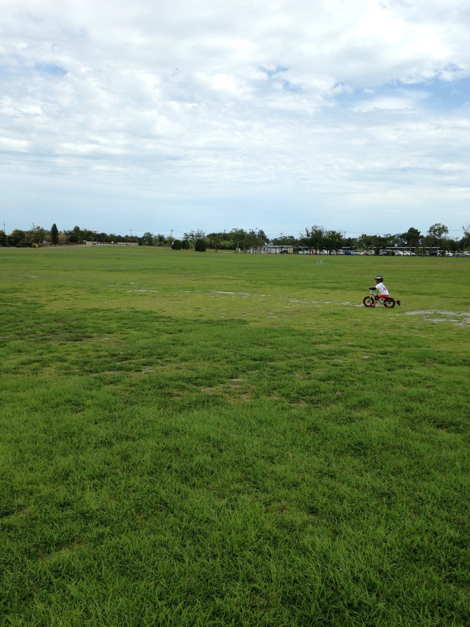 e0272438_1512815.jpg
