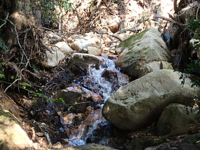 f0334143_20291392.jpg