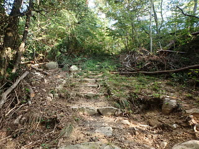 f0334143_2029235.jpg