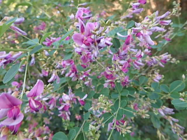 f0334143_2029318.jpg