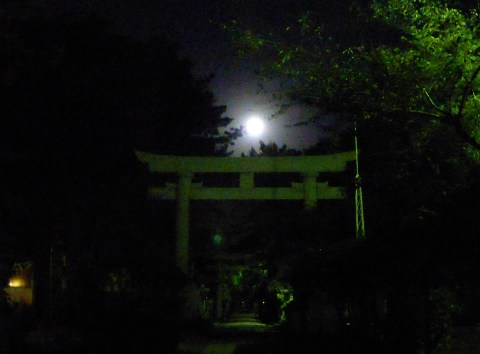 b0238249_22010418.jpg
