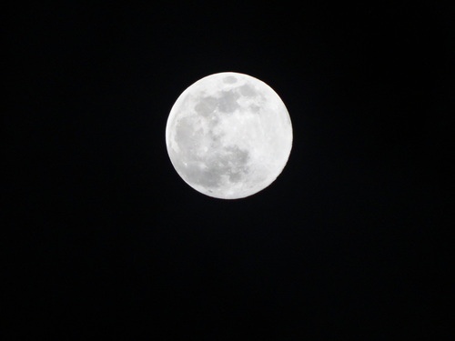 a0251450_8275339.jpg