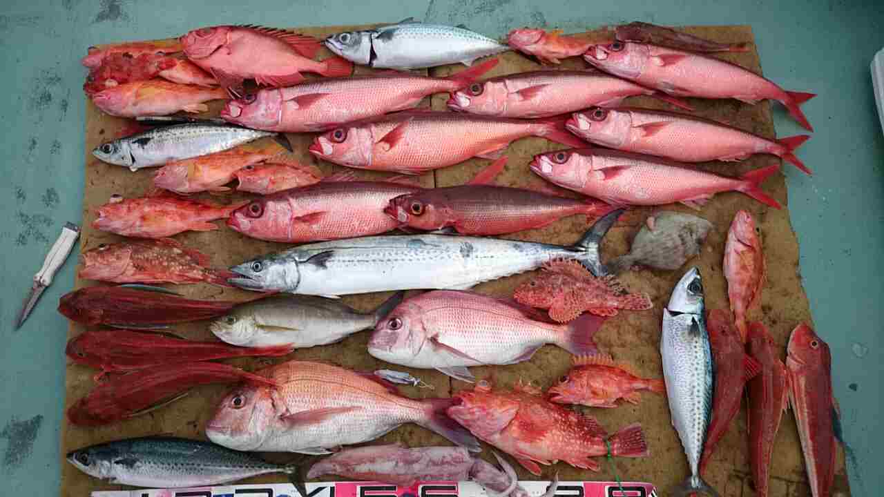 a0248152_1819255.jpg