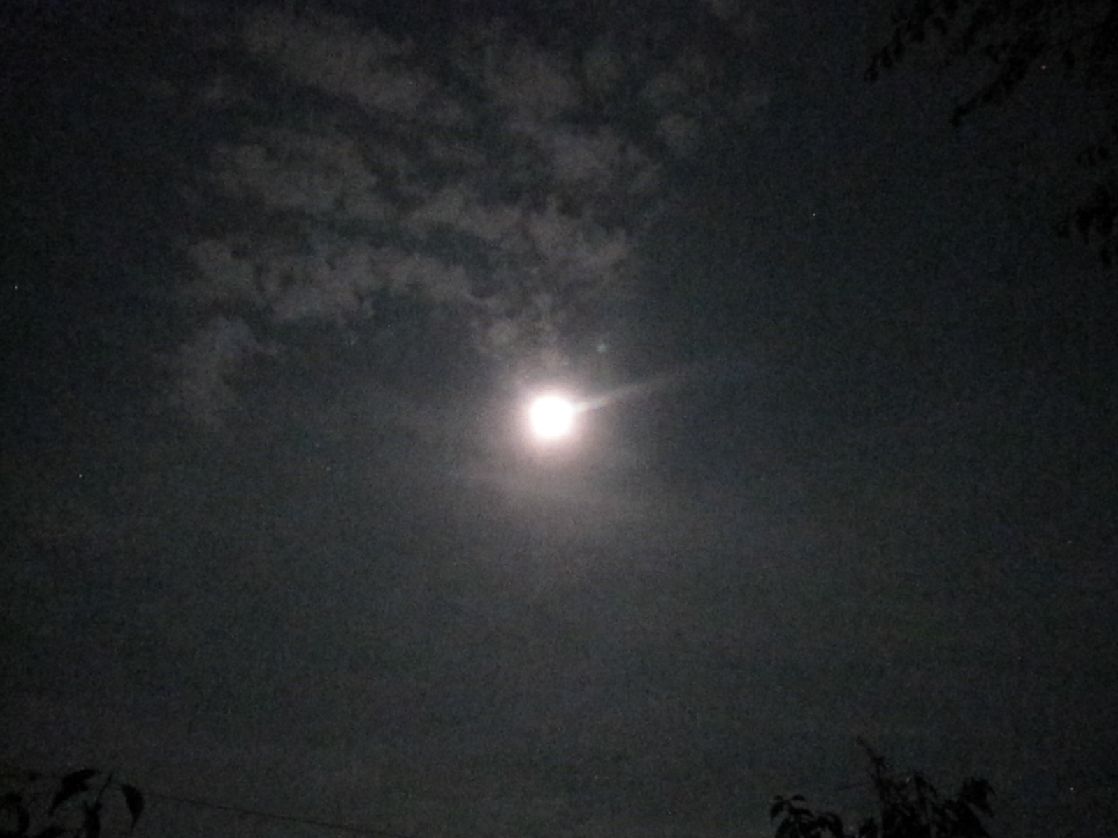 b0243152_1020247.jpg