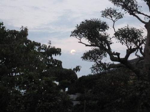 b0243152_10234527.jpg